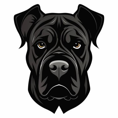 Bullmastiff köpeği baş siluet Vektör illüstrasyonunun ön görünümü Beyaz Arkaplan
