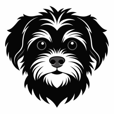 Malta köpeği baş siluet Vektör illüstrasyonunun ön görünümü Beyaz Arkaplan