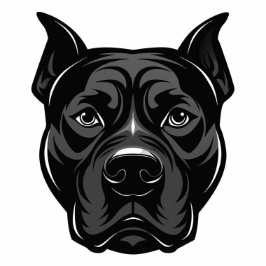 Pitbull Terrier köpeği baş siluet Vektör illüstrasyonunun ön görüntüsü Beyaz Arkaplan