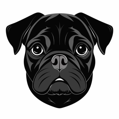 Pug dog Baş Siluet Vektör illüstrasyonunun ön görünümü Beyaz Arkaplan