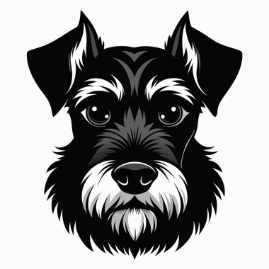 Schnauzer köpeği Baş siluet Vektör illüstrasyonunun ön görünümü Beyaz Arkaplan