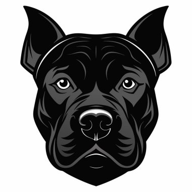 Staffordshire Bull Terrier köpeği baş siluet Vektör illüstrasyonunun ön görüntüsü Beyaz Arkaplan