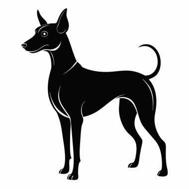 Tayland Bangkaew köpeği baş siluet Vektör illüstrasyonunun ön görünümü Beyaz Arkaplan