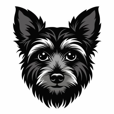Yorkshire Terrier köpeği baş siluet Vektör illüstrasyonunun ön görünümü Beyaz Arkaplan