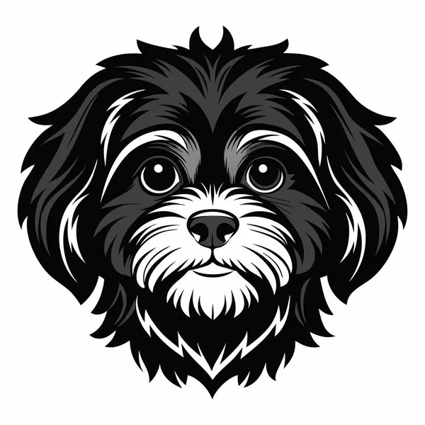 Shih Tzu köpeği Baş siluet Vektör illüstrasyonunun ön görünümü Beyaz Arkaplan