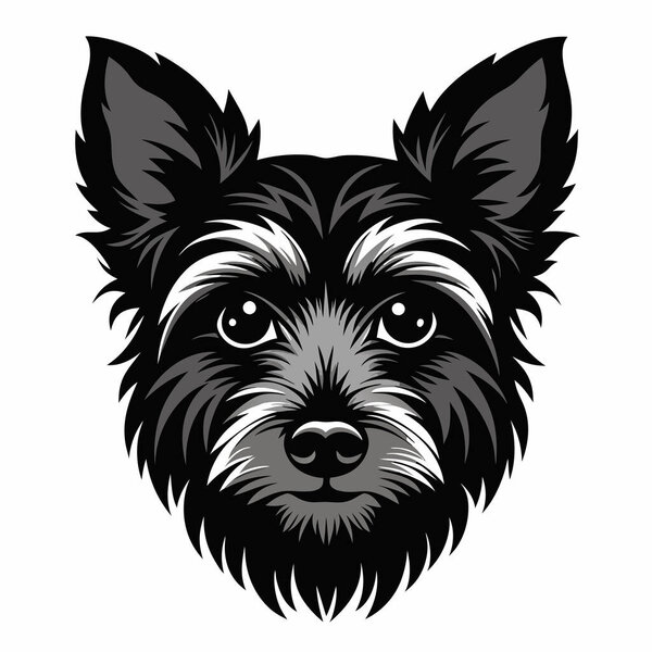Йоркширский терьер Вид спереди силуэта головы Векторный рисунок Белый фон