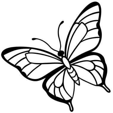 Kelebek, siyah ve beyaz renk çizimi