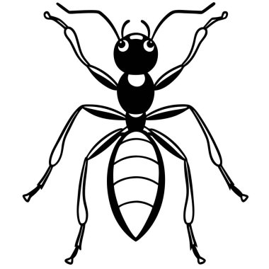 bir örümceğin siyah ve beyaz vektör çizimi