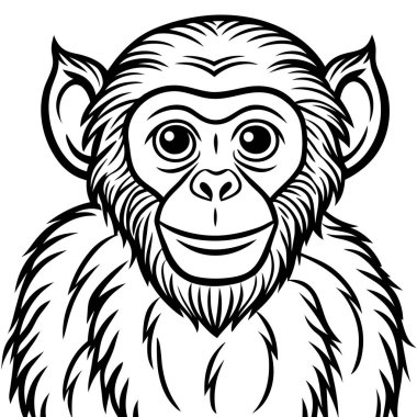 monkey cartoon character vector illustration