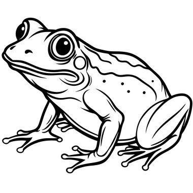kurbağanın karikatür resmi