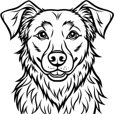 Fiyonklu köpek kafası.