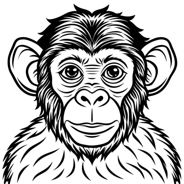 Maymun çizgi filminin vektör çizimi