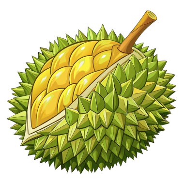 Durian Thai meyve bahçesi vektör çizimi beyaz arkaplanda çizgi film tarzı bir ananas