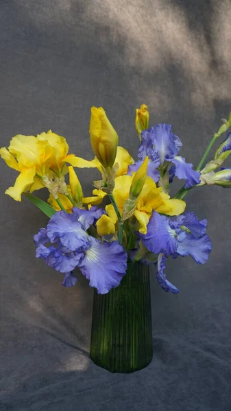 Vazodaki sarı çiçek buketi gri arka planda. 