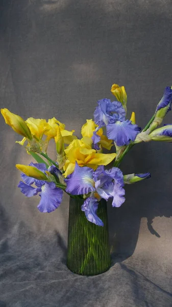 Gri bir arka plan bahar çiçekleri