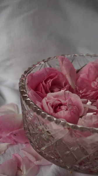 Cam vazoda pembe gül. 