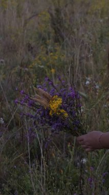 Yaz kır çiçekleri buketi