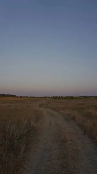 Ormanda güzel bir gün batımı