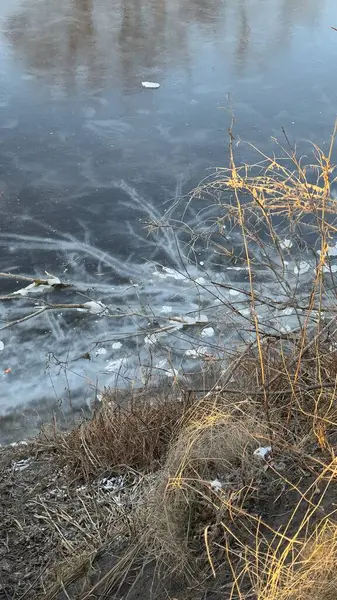 Karlı güzel kış manzarası