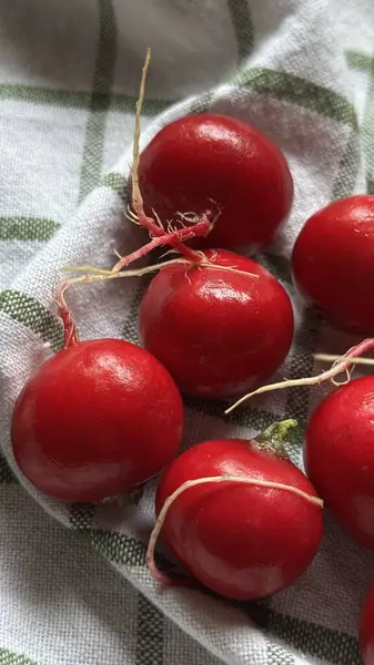 sulu ve gevrek turp.