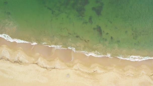 夏はビデオになる パノラマ トップビュー砂浜の空中 海の波が海岸を転がっている 海上からの眺め — ストック動画