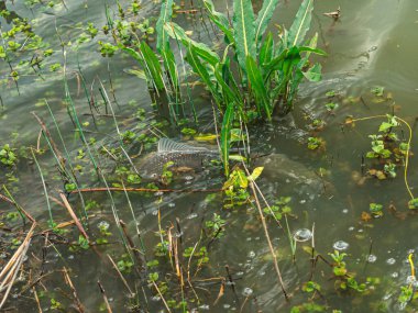 Erkekler için erkek hobisi ve eğlence. Çevirme çubuğuyla bir balıkçının ellerini kapat. Olta makarası.