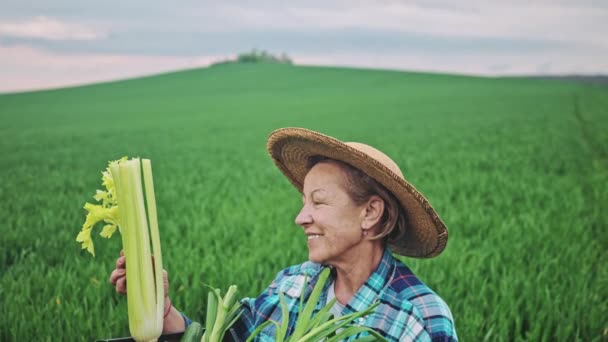 芹菜的光滑直接从花园里出来 在阳光普照的农场田园 拿着一盒有机蔬菜 近距离观察芹菜的老年女农画像 — 图库视频影像