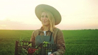 Genç kadın çiftçinin portresi gün batımında yeşil alanda organik sebzelerle dolu bir kutu tutuyor. Tarım tarlası hasat portresi.