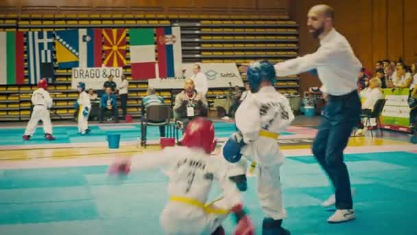 Sofia Bułgaria 2023 Międzynarodowe Zawody Sofia Open Childrens Taekwondo — Wideo stockowe