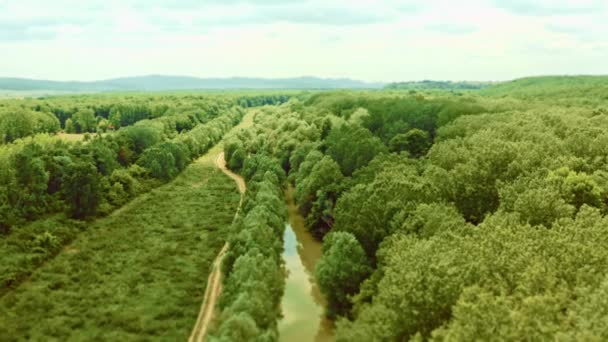 공중에서 과아름다운 대우림 불가리아의 지역의 발원지 — 비디오