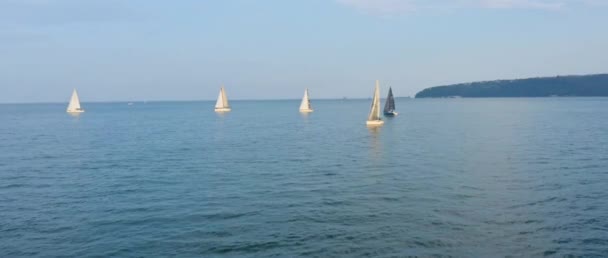 Εκπαίδευση Ιστιοπλοΐας Regatta Ιστιοπλοΐα Αγώνα Στη Θάλασσα Θερινό Ηλιοβασίλεμα Και — Αρχείο Βίντεο