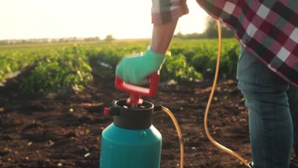 农场主用化学杀虫剂花园喷雾器抽水给它加压以便喷洒 夕阳西下 在床的背景下 田野的浅浅的深度 — 图库视频影像