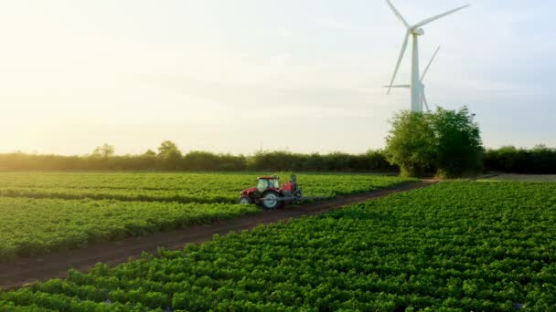 Vista Aérea Pulverizador Culturas Pulverizando Pesticidas Herbicidas Campo Pôr Sol — Vídeo de Stock