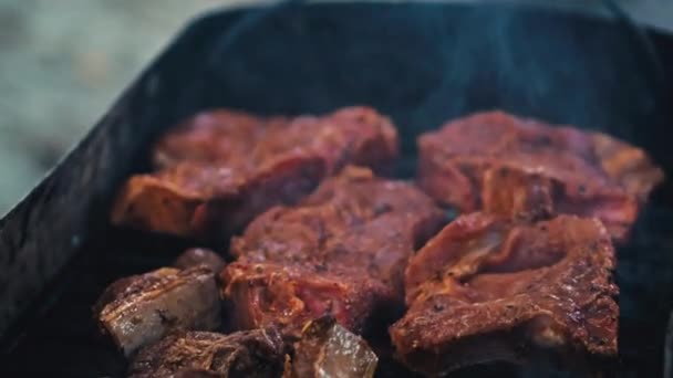 グリルした肉を閉じる 屋外バーベキュー生肉 煙でグリルに フライドポテト — ストック動画