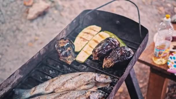 Barbacoa Vegetariana Con Pescado Frito Verduras Picnic Día Independencia — Vídeos de Stock
