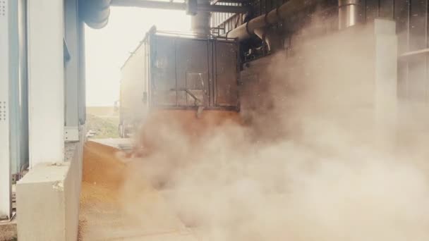 トウモロコシはトラックからサイロに注ぎ込まれる 穀物の卸売貿易 穀物作物の生産と輸送について — ストック動画