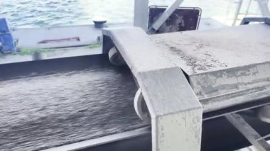 Taze toplanmış ayçiçeği tohumları uzun taşıyıcı bantlarla taşınıyor ve kuru kargo gemisine yükleniyor.