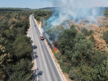Abnormal temperature records led to a dry summer and fires in Europe. European road with burning bushes due to a thrown cigarette butt