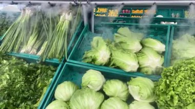 Nemlendirici ekipmanların altında market tezgahında taze yeşil salata sebzeleri. Doğal sağlıklı yiyecekler.