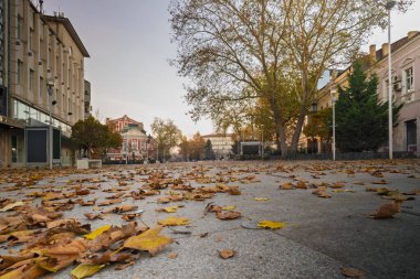 Sonbahar geliyor. Sonbaharda yaprakları dökülen boş bir meydan. Sonbahar nezlesi, sonbahar bunalımı ve soğuk havanın başlangıcı..