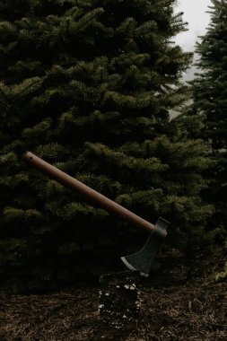 Noel Ağacında Balta