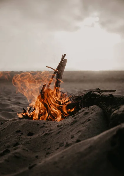Fuego Ardiente Desierto — Foto de Stock