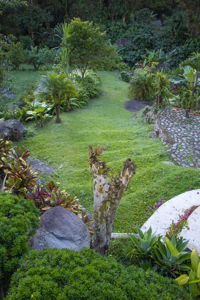 Hermoso Jardín Escaleras Cfaster — Foto de Stock