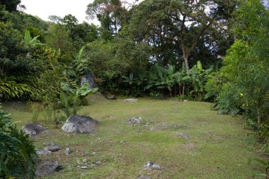 Bahçede bol yer ve doğal ışık var.