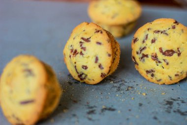 Süngerli kek estetik kaidede servis edilir. Besleyici atıştırmalık, tatlı ya da kahvaltı. Yakın plan yemek..