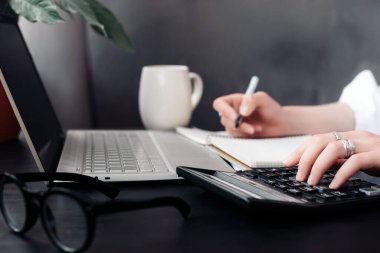 Çok yönlü Mali Uzmanlık. Kadın Muhasebeci Ofiste Hesap Makinesi ve Bilgisayarı Kullanıyor ve Evden Çalışırken, Finans ve Muhasebeyi Kucaklarken.