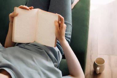Rahat Genç Kadın Kitaptan Hoşlanıyor, Oturma Odası Kanepesinde Çay. Rahat bir tatil zamanı. Bayan Okuma, Rahat Ev Ayarlama 'da Çay İçme. Yurtiçi atmosferde Rahatlama ve Gastronomik Zevk.