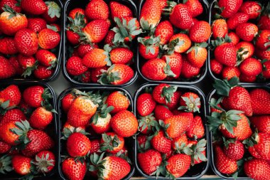 Marketteki siyah kaplarda taze olgun çilekler. Canlı kırmızı böğürtlen. Yemek fotoğrafçılığı, organik üretim, sağlıklı beslenme görselleri ve meyve pazarı sahneleri için idealdir.