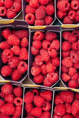 Meyve suyu kırmızı ahududuları bir markette kağıt kutulara güzelce yerleştirilmiş. Yemek fotoğrafçılığı, organik üretim, sağlıklı beslenme görselleri ve yaz meyve promosyonları için idealdir.