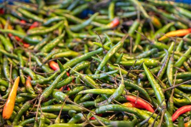 Çiftçi pazarında canlı yeşil ve kırmızı biberler. Yemek fotoğrafçılığı, baharat aşıkları, mutfak malzemeleri, acı soslar ve taze organik ürünler için mükemmel..